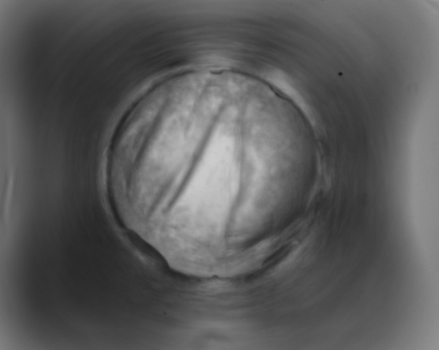 X0000088451477200706191302