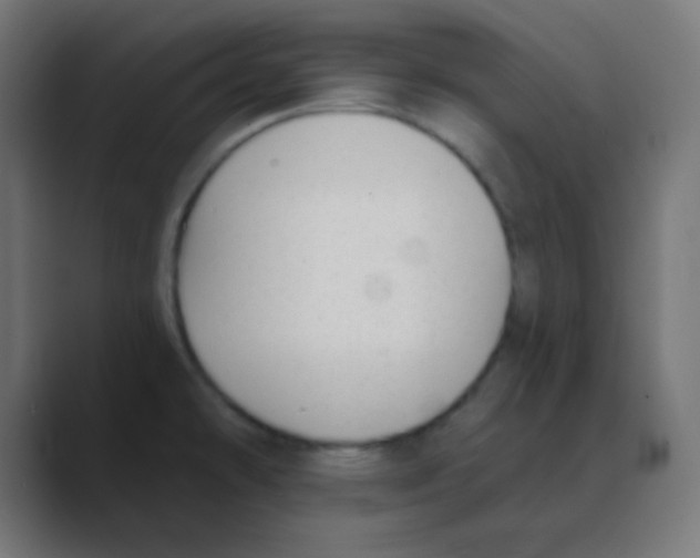 X0000088451478200706191302