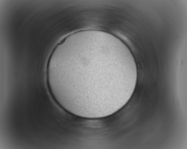 X0000088451479200706191302