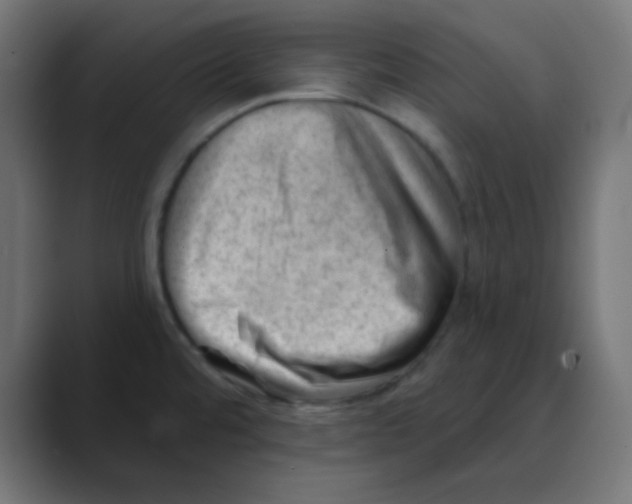 X0000088451480200706191302