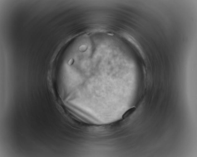 X0000088451481200706191302
