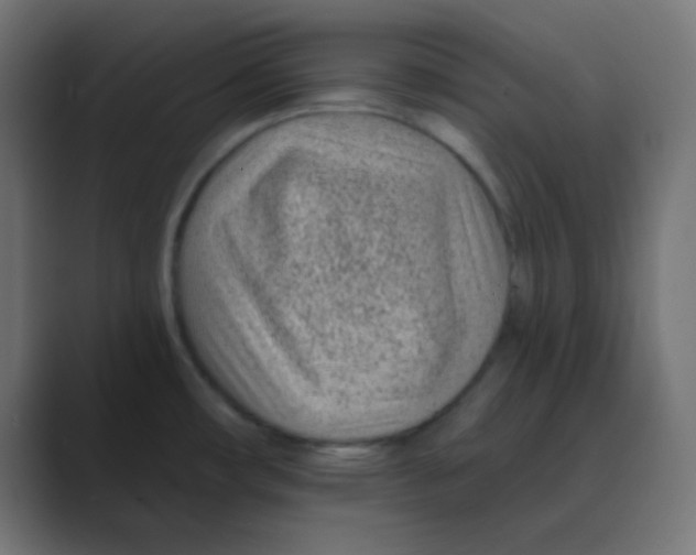 X0000088451482200706191302