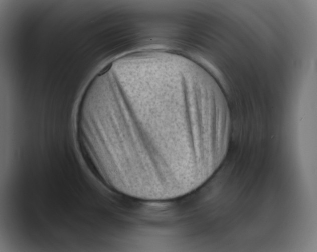 X0000088451483200706191302