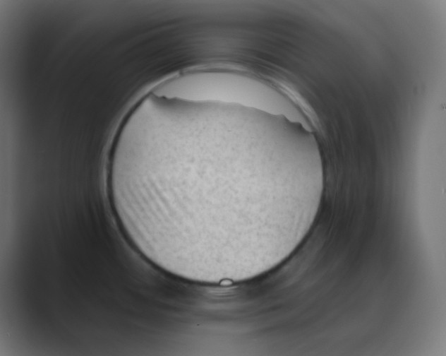 X0000088451484200706191302