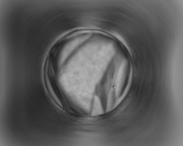 X0000088451485200706191302