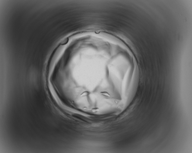 X0000088451486200706191302