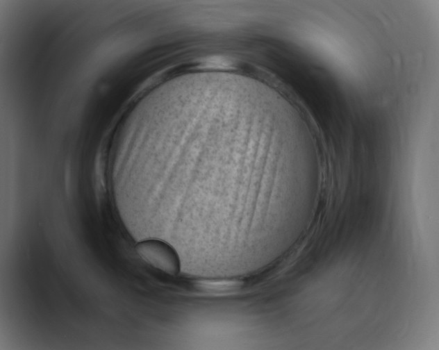 X0000088451487200706191302
