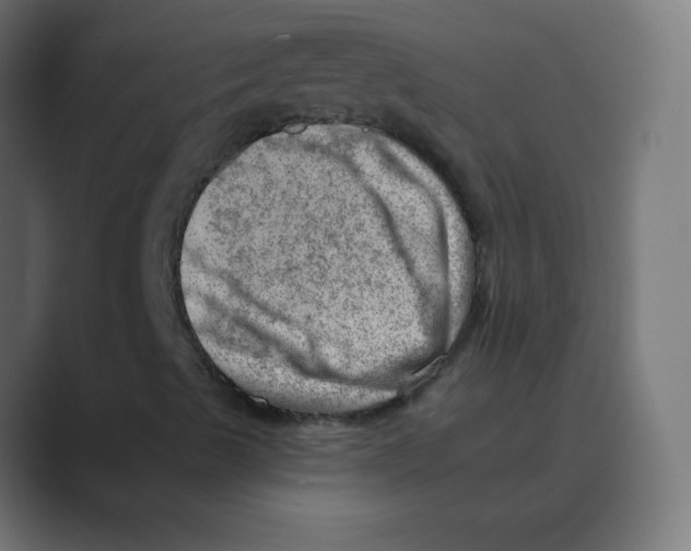 X0000088451489200706191301