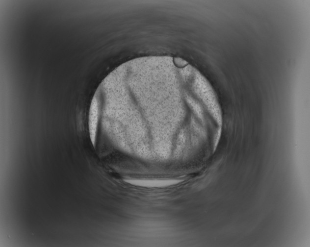 X0000088451490200706191301