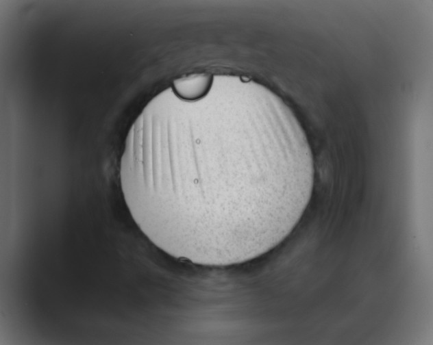 X0000088451495200706191301