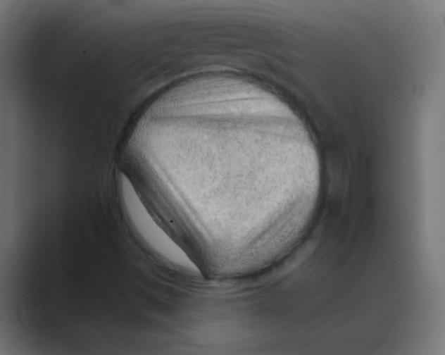 X0000088451497200706191301