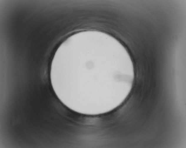 X0000088451498200706191301