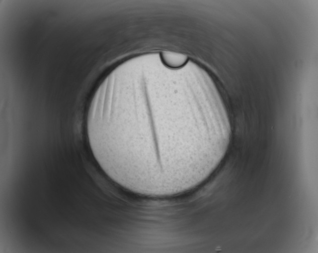 X0000088451499200706191301