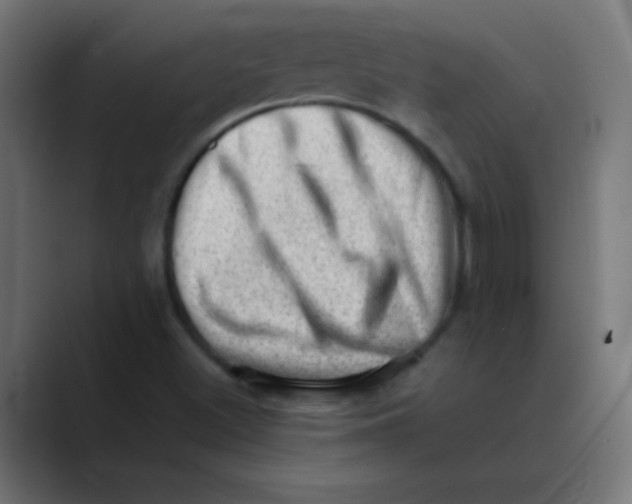 X0000088451500200706191301