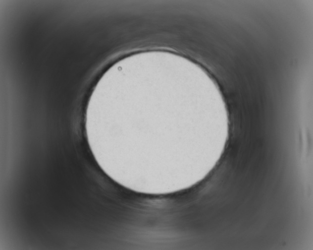 X0000088451502200706191301