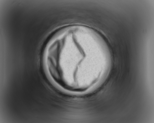 X0000088451503200706191301