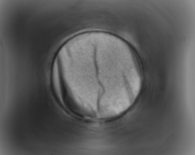 X0000088451504200706191301