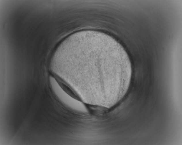 X0000088451505200706191301