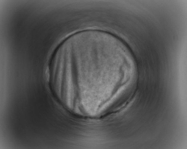 X0000088451509200706191301