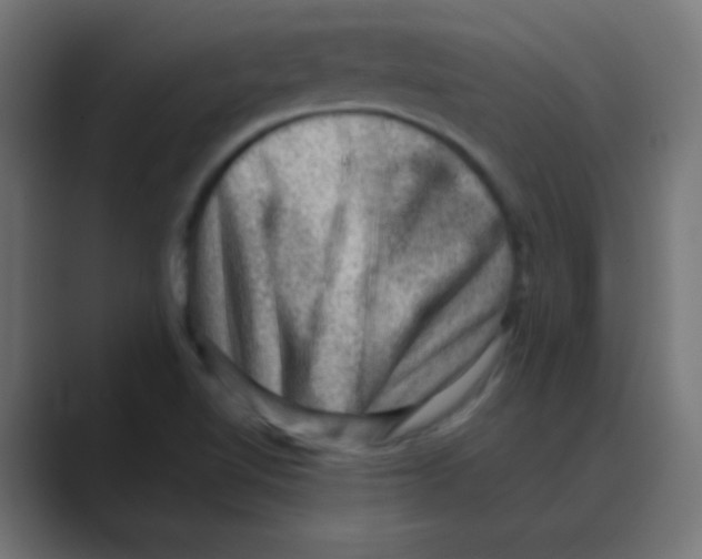 X0000088451510200706191301
