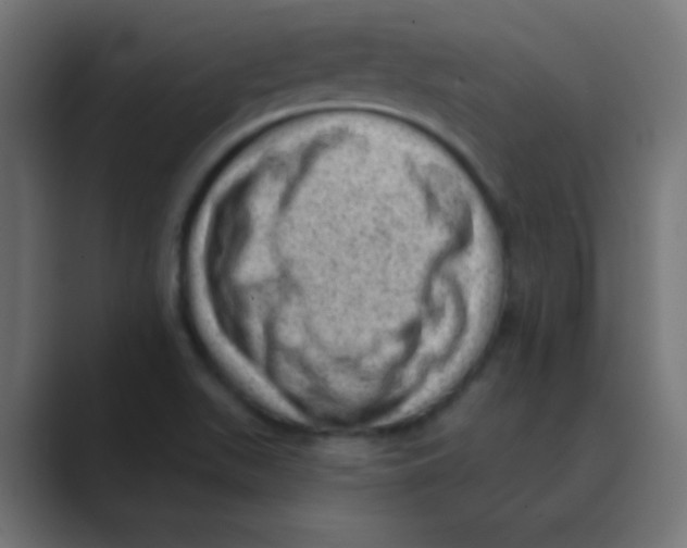 X0000088451511200706191301