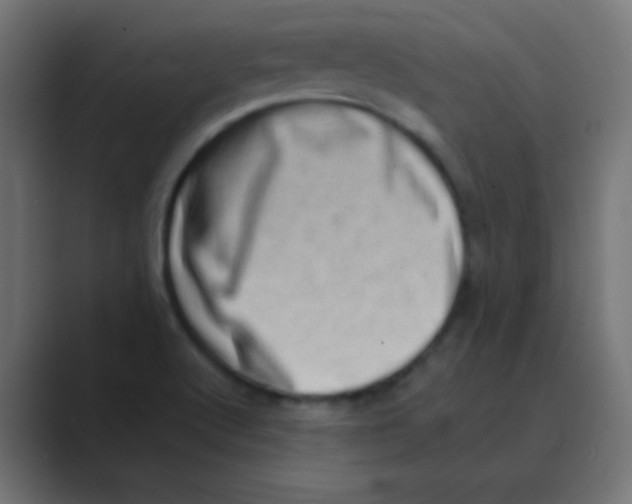 X0000088451512200706191301