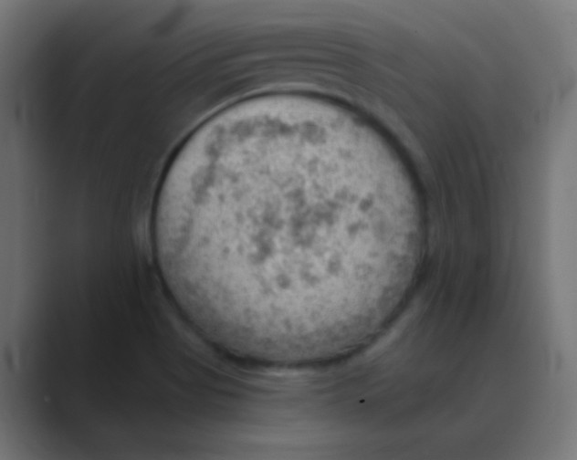 X0000088451513200706191301