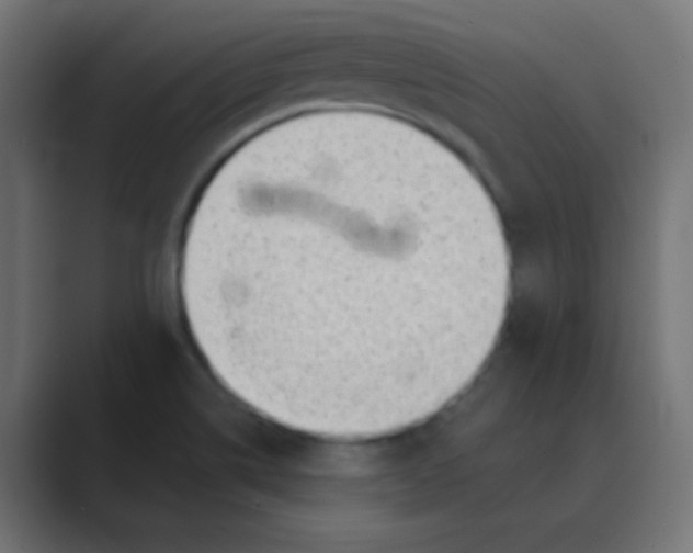 X0000088451514200706191301