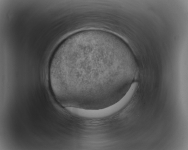 X0000088451515200706191301