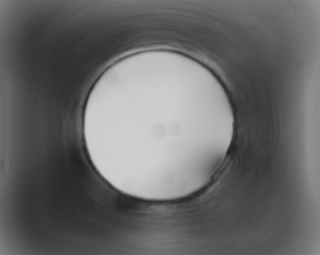 X0000088451516200706191301