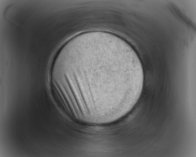 X0000088451517200706191301