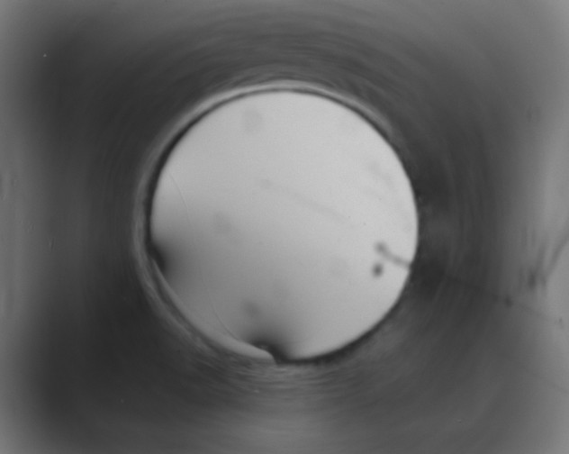 X0000088451518200706191301