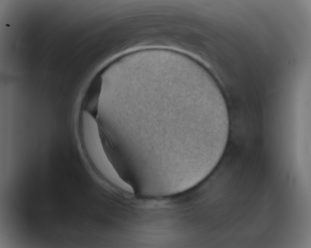 X0000088451519200706191302