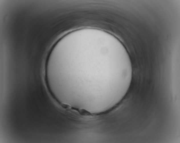 X0000088451523200706191302