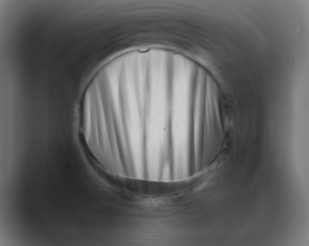 X0000088451524200706191302