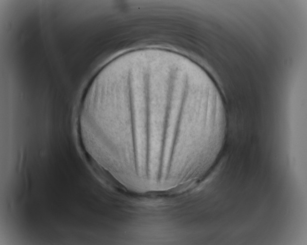X0000088451525200706191302