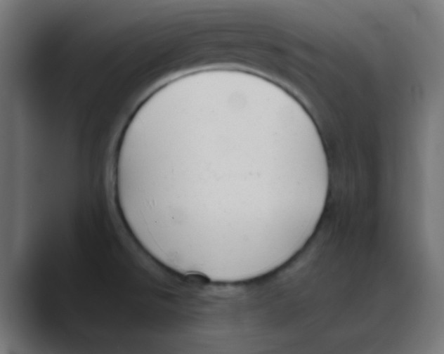 X0000088451526200706191302