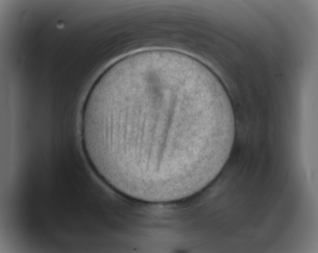 X0000088451527200706191302