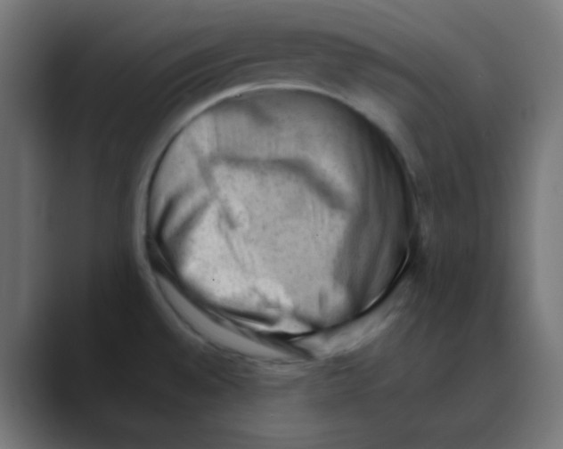 X0000088451528200706191302