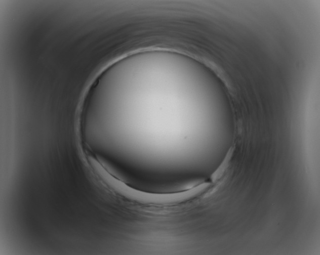 X0000088451530200706191302