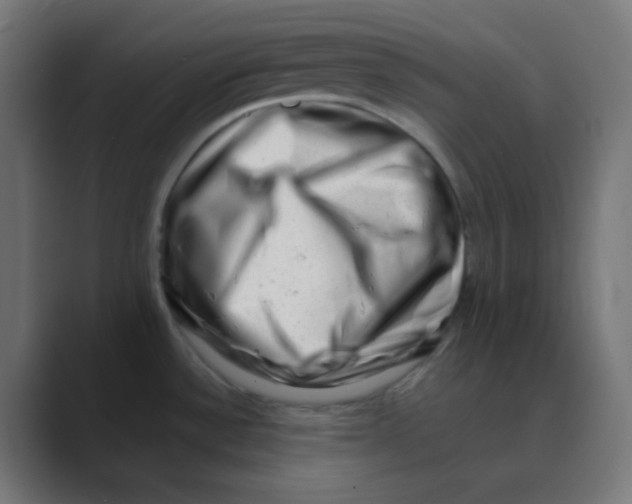 X0000088451532200706191302
