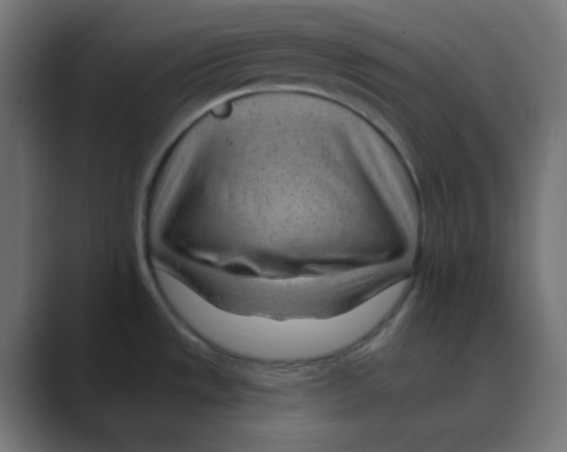 X0000088451533200706191302