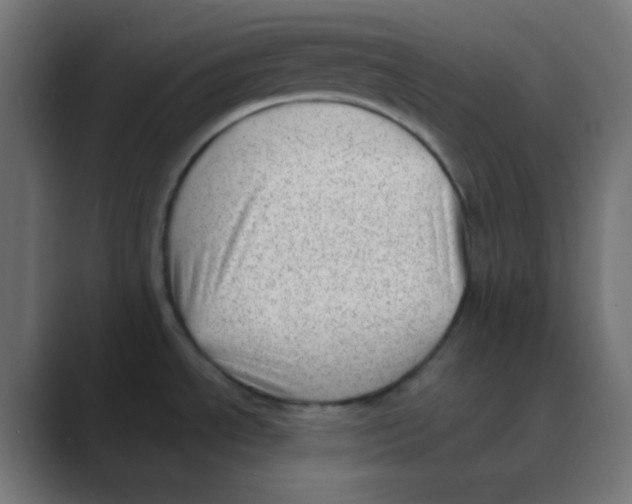 X0000088451534200706191302