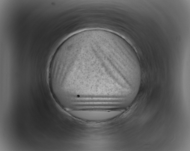 X0000088451535200706191302