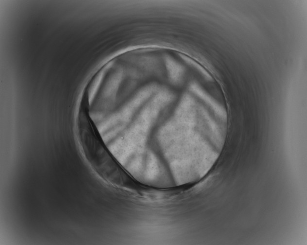 X0000088451536200706191302