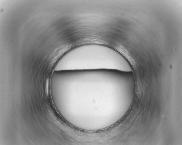 X0000088460014200705220947