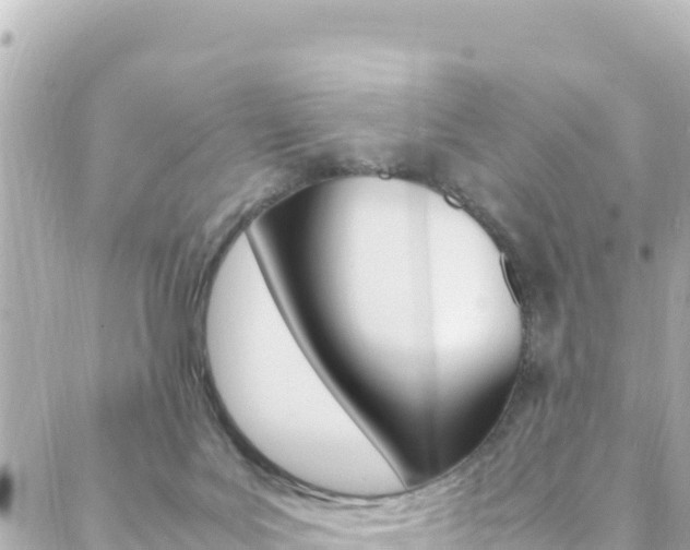 X0000088460027200705220947
