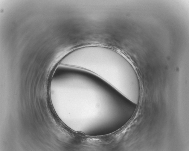 X0000088460055200705220946