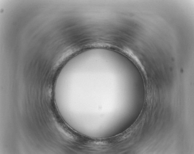 X0000088460063200705220946