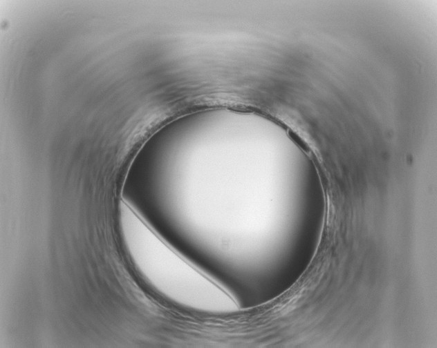 X0000088460109200705220945